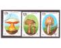 Kuba - houba, houby