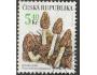ČR o Pof.0266 Flora - vzácné houby