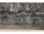 LYSICE ZÁMECKÝ PARK r. 1910 NAKL J. NOVOTNÝ °HE383