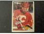 Robert Reichel 1994/95 Calgary Flames, Topps Premier č. 213
