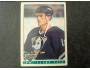 Garry Valk 1993/94 Anaheim Mighty Ducks, Topps Premier 354