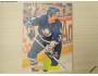 Jamie Macoun 1994/95 Toronto Maple Leafs, Leaf č. 418