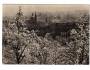 Praha kostel sv. Mikuláše VF ***2467