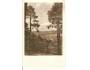 SUŠICE / ŠUMAVA /r.1950?*az96