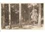MARIÁNSKÉ LÁZNĚ /r.1947?*ay23