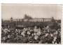 Praha Hradčany květy r.1940 MF ***3141