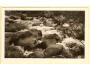 VYDRA/KLOSTERMANOVA CESTA/ ŠUMAVA /r.1949?*DB=2