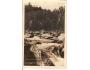 PARTIE NA VYDŘE / ŠUMAVA /r.1926?*DI=40