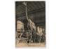 Paris,Museum historie,kostra žirafy ,neprošlá,FR/74