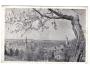 Domažlice foto A.Dostál VF 1949 °11086