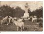 RADEGAST + RADHOŠŤ+BESKYDY r.1959?*UF=693