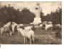 RADEGAST + RADHOŠŤ+BESKYDY r.1959?*UF=694