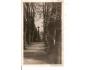 HRANICE / ALEJ VZDECHŮ / r1945?*kd958