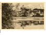 TRENČÍN / r.1950?*kd1158