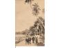 COLOMBO - CEYLON /ŠRÍ LANKA /rok1915?*kd1164