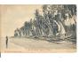 PŘÍSTAV - CEYLON /ŠRÍ LANKA /rok1907?*kd1178