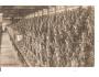 JAPAN - JAPONSKO / VOJÁCI /rok1915?*kd1199