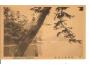 JAPAN - JAPONSKO / NAGASAKI /rok1915?*kd1206