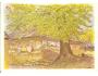 VRÁTNÁ DOLINA - JANOŠÍK RODNÝ DŮM/SLOVENSKO /rok19??*kd1307