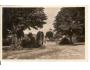 SOLNICE / RYCHNOV n.KN. /rok1931?*kd1343