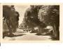 SUŠICE / VOLŠOVSKÁ ALEJ / ŠUMAVA /rok1947?*kd1351