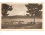RYBNÍK SYKOVEC / NOVÉ MĚSTO NA MORAVĚ /rok1947?*kd1364