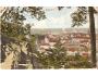 SLANÝ/r.1920/M65-197