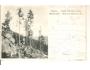 STEZKA K ČERNÉMU JEZERU/ BELLMANN / ŠUMAVA /r.1898?*a==724