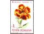 Rumunsko 1971 Květiny, Michel č.2943 raz.
