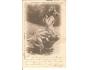 ŽENA / SECESE /rok1901?*a==1107