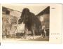 MAMUT / foto ABSOLON / ZVÍŘATA =rok1928?*ac-155