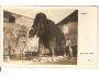 MAMUT / foto ABSOLON / ZVÍŘATA  =rok1928?*ac-155