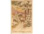 SRNKA V LESE / LITOGRAFIE =rok1938?*ac-167