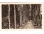 LÁZNĚ LETINY = DUBOVÁ ALEJ /r1935*AB1796