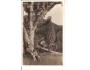 MORÁVKA = SKALKA =BESKYDY= FRÝDLANT /rok1930?*AA898