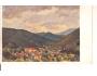 TRENČIANSKÉ TEPLICE =mal.LETNIANSKY /rok1920?*AA1135