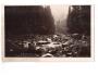 KRKONOŠE BÍLÉ LABE FOTO-FON r.1931 °53905E