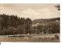 JETŘICHOVICE = KOUPALIŠTĚ /rok1950?*AA3378
