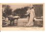 MILENCI = HOLANDSKO /rok1901?*AA3413