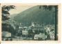 TRENČIANSKÉ TEPLICE /rok1917?*AA3906