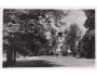 VLAŠIM LORETA r.1942 F.K.V. ***54035F