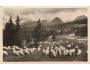 VYSOKÉ TATRY=OD STANICE ŠTRBA + OVCE /r1946?*kc3861