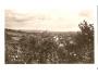 NOSISLAV /r.1938 /*M137-7