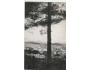 ABBAZIA /rok1925?*kc7738