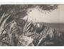 RAB /CHORVATSKO /rok1925?*kc7740