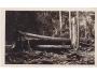 PRALES BOUBIN=FOTO WOLF= ŠUMAVA /rok1935?*kc10124