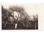 ROŽĎALOVICE = NYMBURK /rok1930?*kc10255
