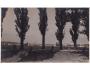 MILOVICE / NYMBURK /rok1925?*kc10275
