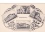 HORAŽDOVICE / KLATOVY /rok1919?*kc10431