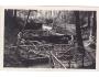 ŽAMPACH = U STUDÁNKY /rok1931?*kc10432